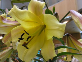 Foto: Dr. Peter Müller